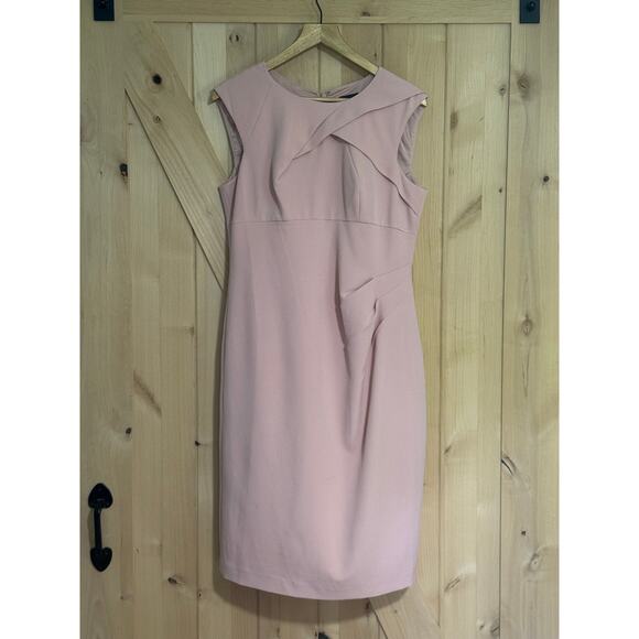 Adrianna Papell | Light Pink Sleeveless Side Ruched Sheath Dress | Size 12 - Picture 1 of 14